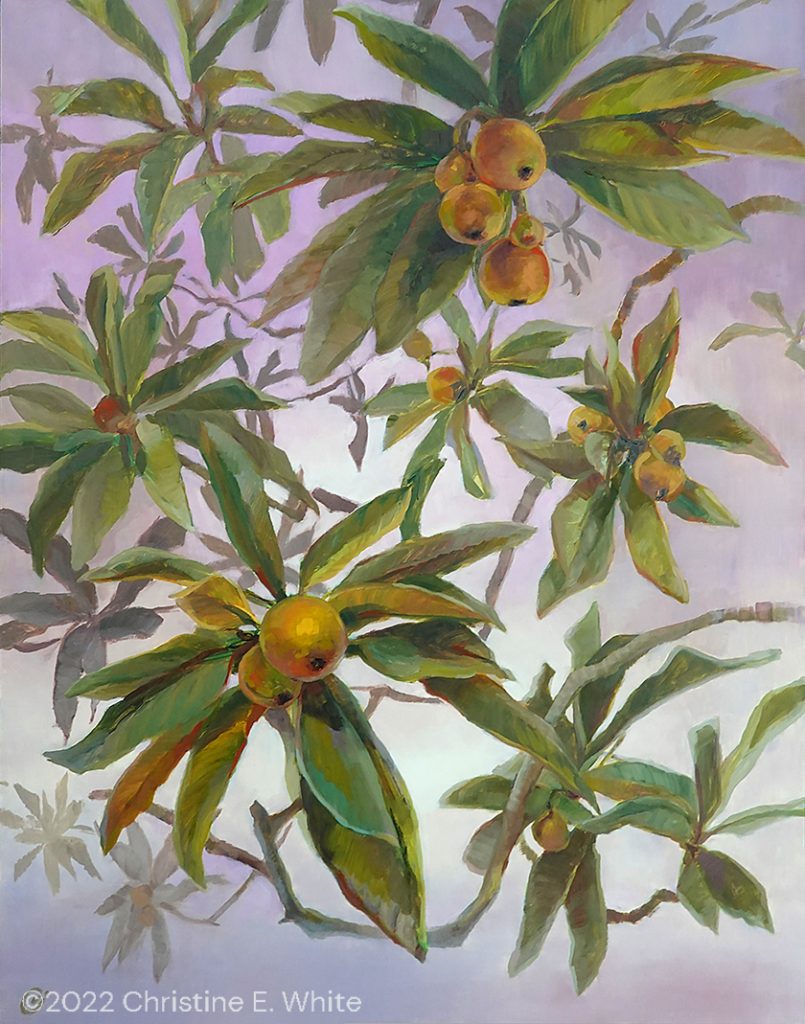 Christine White, Art - Mist & Loquats, 18x14, oil