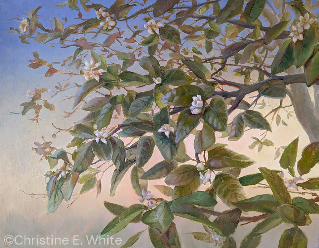 Christine White, Paint Harmonic - "Promise", 14x18, oil on panel