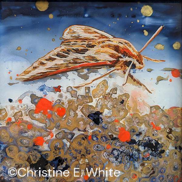 Duskwalker, 8x8, reverse paint on glass, Christine White