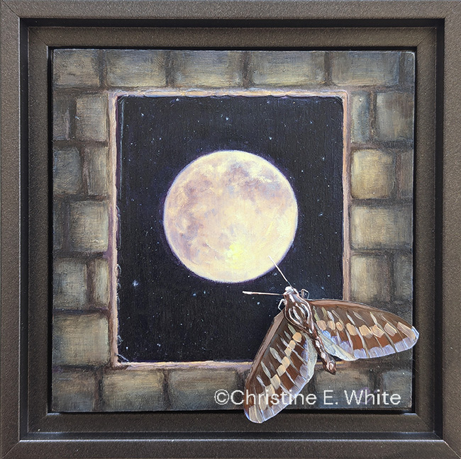 Christine White Art, Lunar Sphinx, 6x6, oil & handcrafted moth on wood