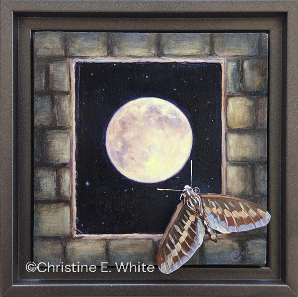 Christine White Art, Lunar Sphinx, 6x6, oil & handcrafted moth on wood